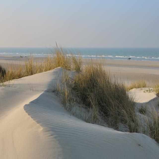 dune-blanche-640x640